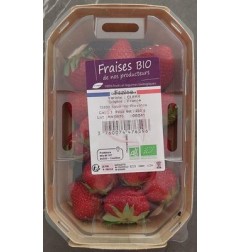 FRAISE 250G BIO