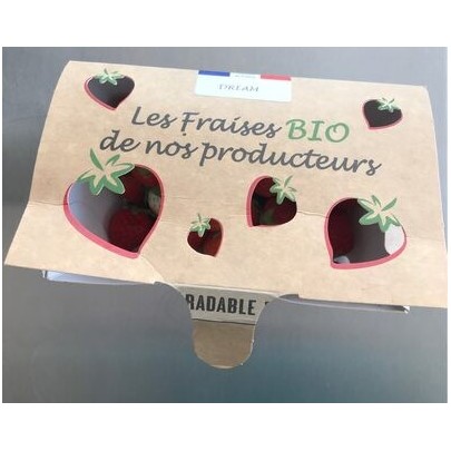 FRAISE 500G BIO