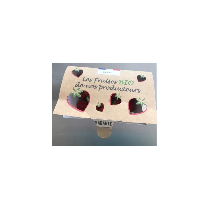 FRAISE 500G BIO
