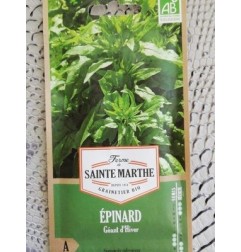 EPINARD GEANT  SEMI BIO