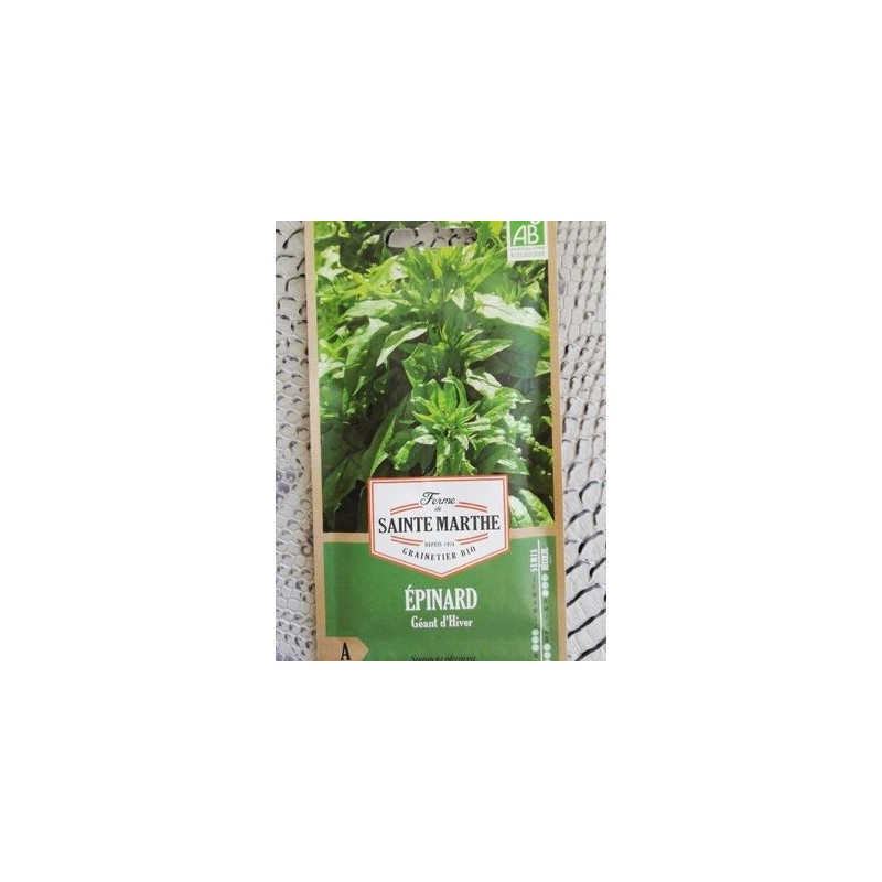 EPINARD GEANT SEMI BIO EPINARD GEANT SEMI BIO
