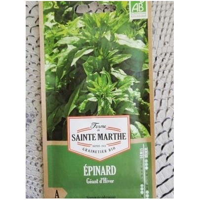EPINARD GEANT  SEMI BIO