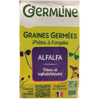 ALFALFA, GRAINES GERMEES