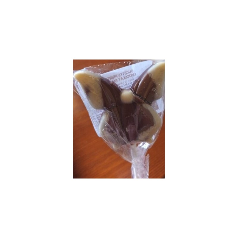 SUCETTE CHOC. BIO15G