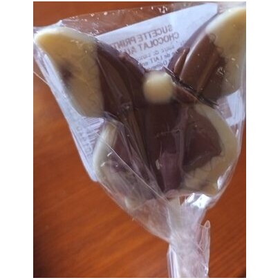 SUCETTE CHOC. BIO15G
