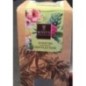 NOISETTES CHOCOLAT NOIR 120G