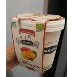 SORBET MANGUE AQUIBIO