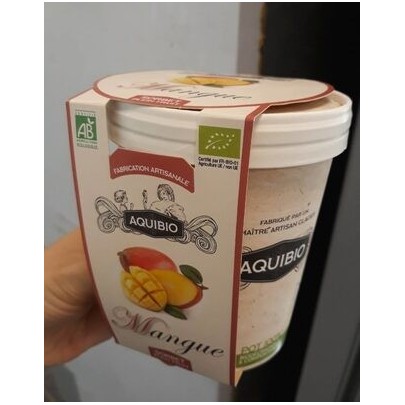 SORBET MANGUE AQUIBIO
