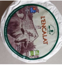 ENCALAT BREBIS