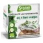 SOJAMI A TARTINE