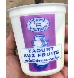 YAOURTS CITRON Y