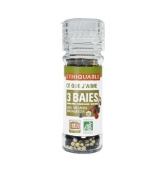 EPICE 3 BAIES BIO  45G
