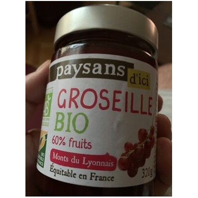 CONFITURE GROSEILLE BIO 320G
