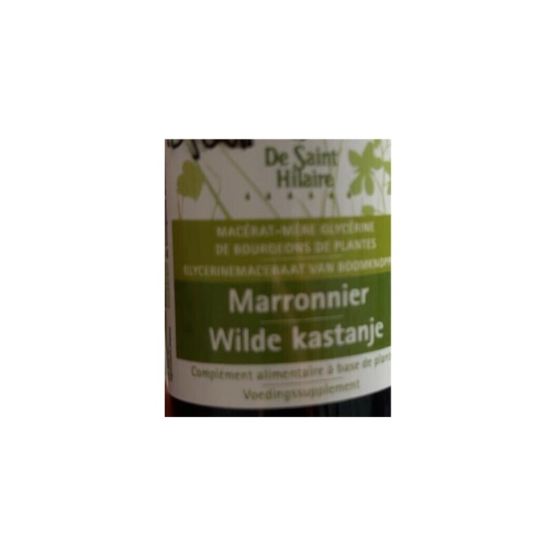 MACERAT MARRONNIER D INDE