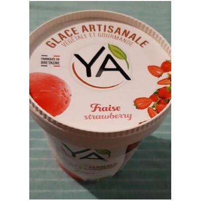 CREME GLACEE VG FRAISE AQUIBIO