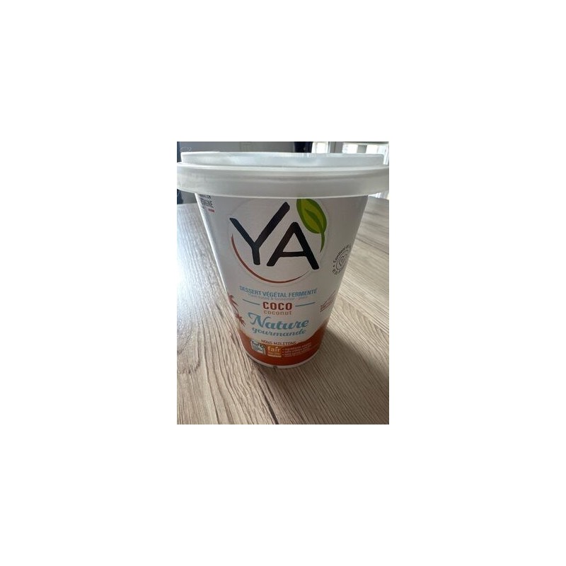 DESSERT VEGETAL COCO NATURE DESSERT VEGETAL COCO NATURE