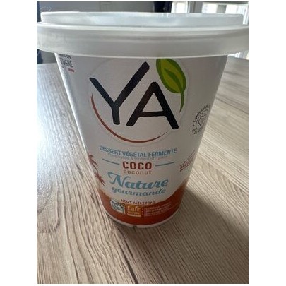 DESSERT VEGETAL COCO NATURE