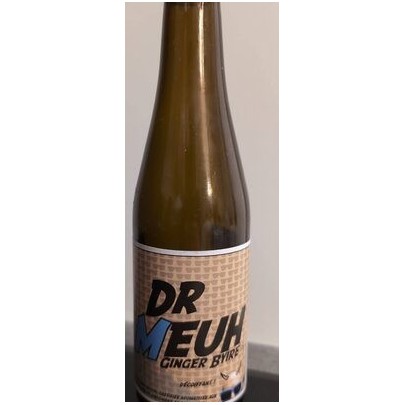 DR MEUH GINGER BYIRE BIO 25CL