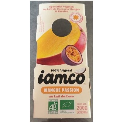DESSERT AU LAIT DE COCO MANGUE