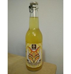 KOMBUCHA GINGER CURCUMA BIO 33