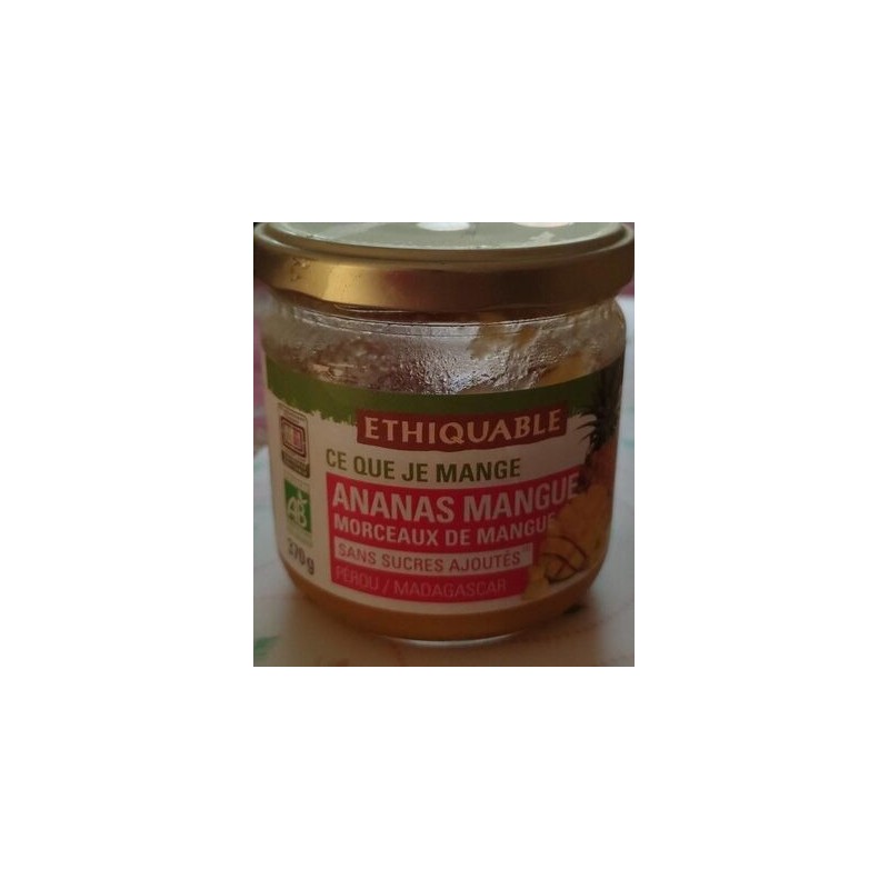 ANANAS MANGUE BOCAUX BIO 370G