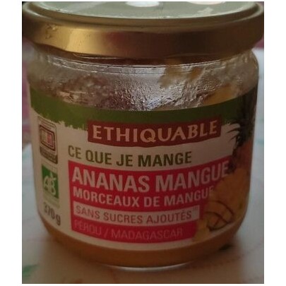 ANANAS MANGUE BOCAUX BIO 370G