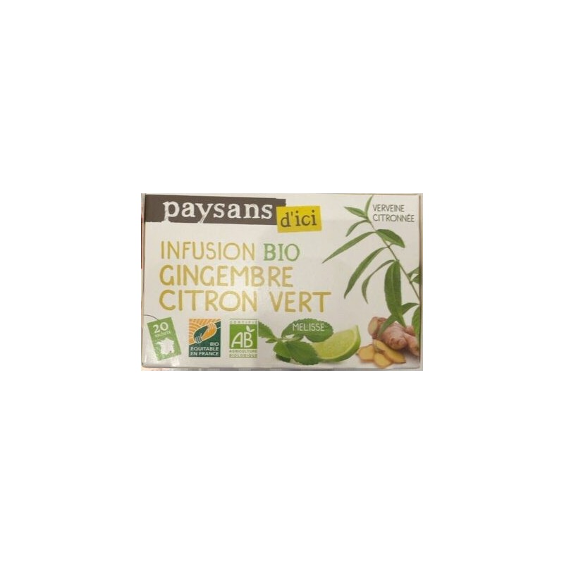 INFUSION GINGEMBRE CITRON VERT