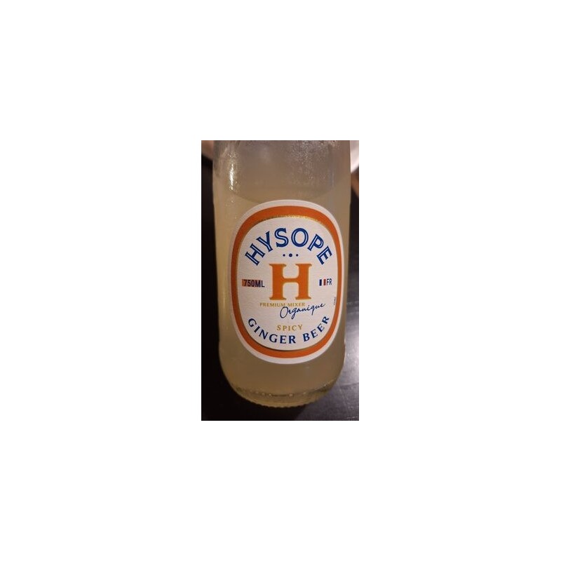 GINGER BEER SPICY BIO 75CL