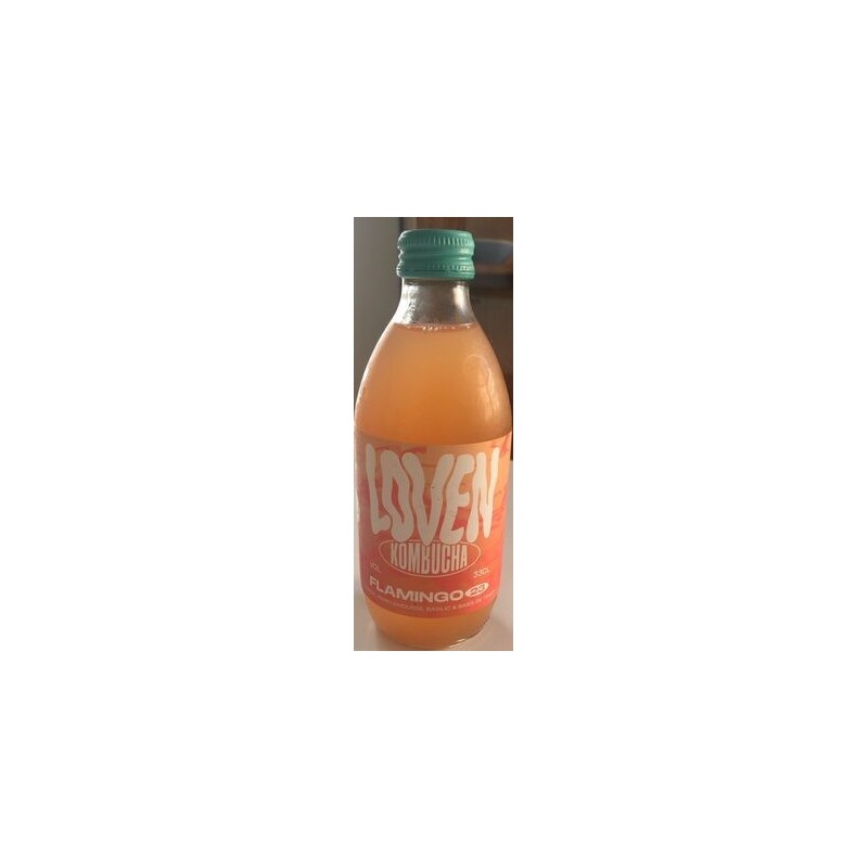 KOMBUCHA FLAMENGO 33CL KOMBUCHA FLAMENGO 33CL