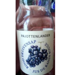 JUS RAISIN BIO 0,20 CL