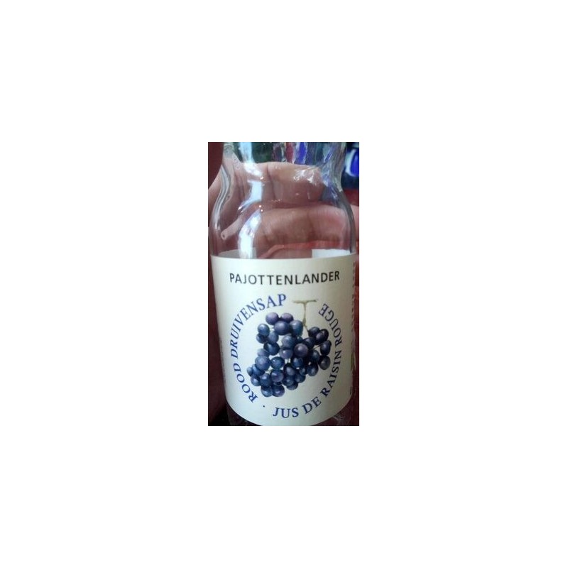 JUS RAISIN BIO 0,20 CL
