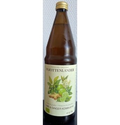 KOMBUCHA CITRON ET GINGEMBRE B