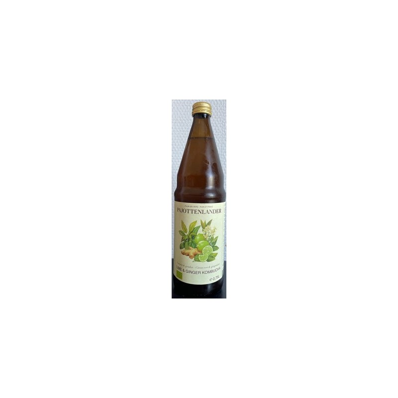 KOMBUCHA CITRON ET GINGEMBRE B