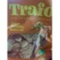 TORTILLA CHIPS NATURE