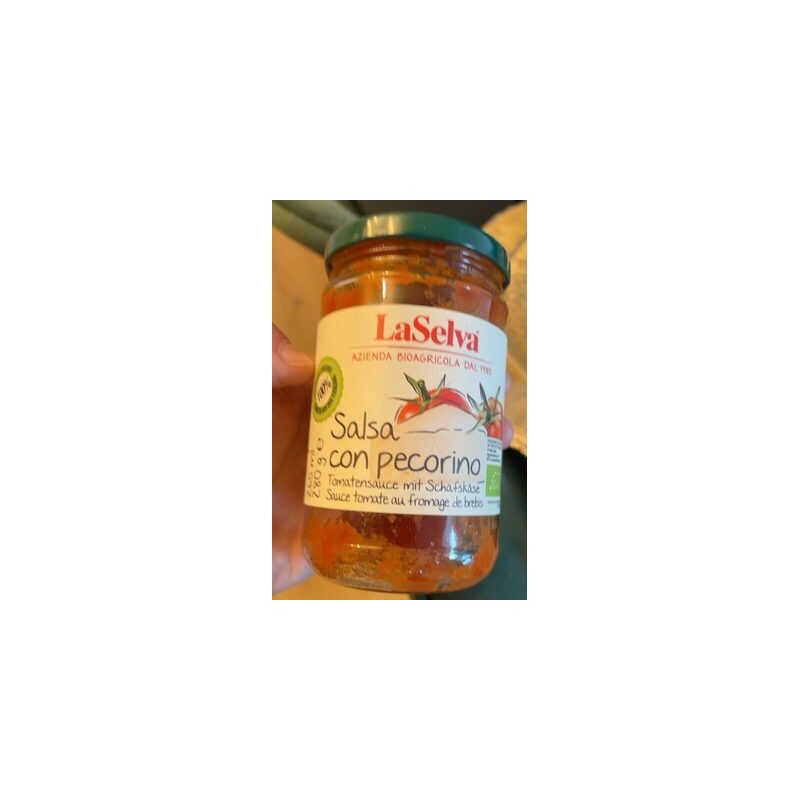 SAUCE TOMATE AU FROMAGE DE BRE