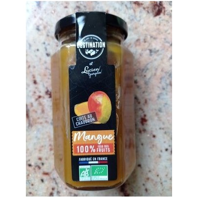 MANGUE 100% FRUITS BIO
