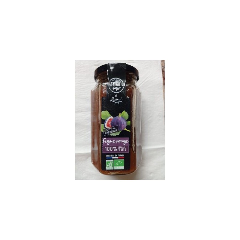 FIGUE 100% FRUITS BIO 300G FIGUE 100% FRUITS BIO 300G