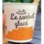SORBET ABRICOT BON DIMANCHE
