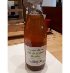 JUS DE POMME FER