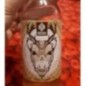 SHORLE CANNELLE ANIS 33CL SHORLE CANNELLE ANIS 33CL