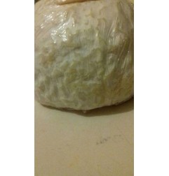 DEMI DOME DE BOULOGNE
