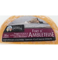 FORT D AMBLETEUSE