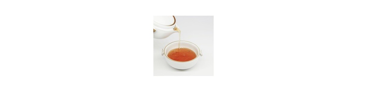 INFUSIONS - BOISSONS INSTA