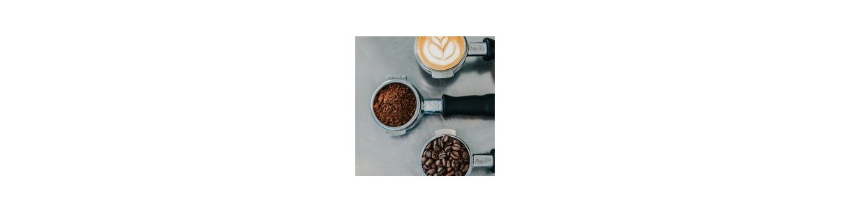 CAFE - CHICOREE - MALT