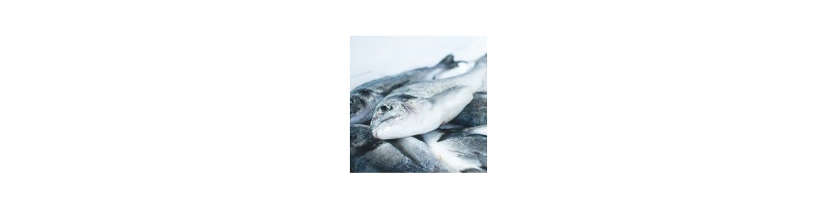 POISSONNERIE