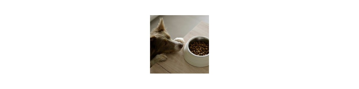 PRODUITS ANIMAUX