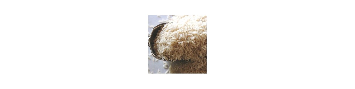 RIZ - CEREALES - GRAINES - LEG
