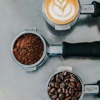 CAFE - CHICOREE - MALT