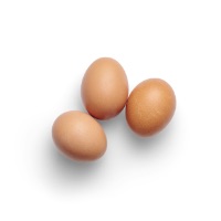  OEUFS 