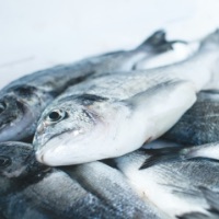  POISSONNERIE 
